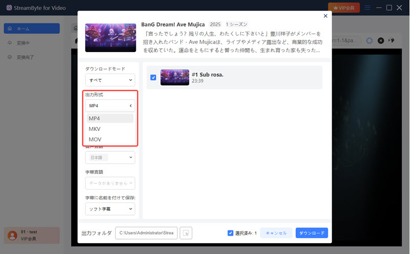 MP4出力形式を選択