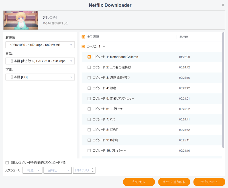 StreamFabのダウンロード設定画面